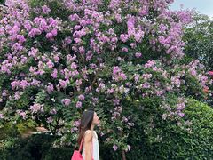 -杭州城北体育公园