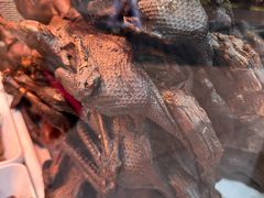 -张鸭子重庆特产卤味小吃(未来国际店)