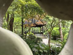 -上海醉白池公园