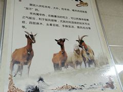 -龙门李家三旦羊肉汤馆