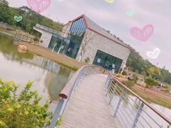 -东莞植物园