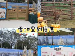 -盈香心动乐园