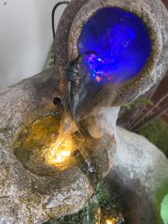 点击看大图 -禾壹净·素颜美问题肌肤修护中心