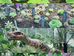 -国家植物园南园