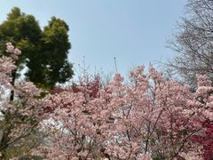 -堤角公园