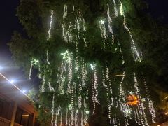 -竺桥兄弟烤鸭(总店)