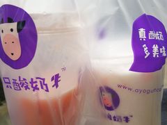 -一只酸奶牛(八一路店)