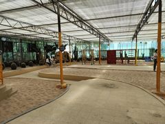 -南宫五洲植物乐园