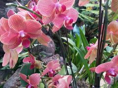 -南通洲际绿博园