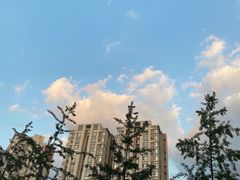 -味之绝热血美蛙鱼火锅(中坝店)