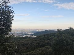 -北京西山国家森林公园