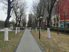 -木塔寺遗址生态公园