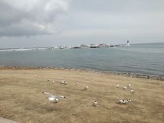 -青海湖二郎剑景区