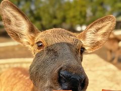 -常州淹城野生动物世界