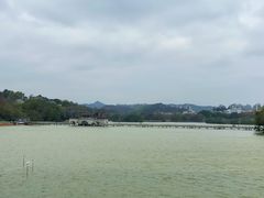 -合江楼