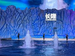 -珠海长隆海洋王国