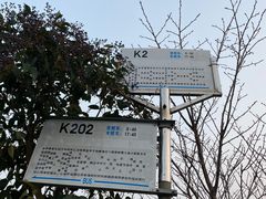 -盐城丹顶鹤湿地生态旅游区
