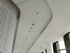 -Free Sky 云际观光层