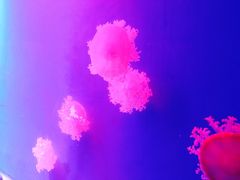 -福州罗源湾海洋世界旅游区