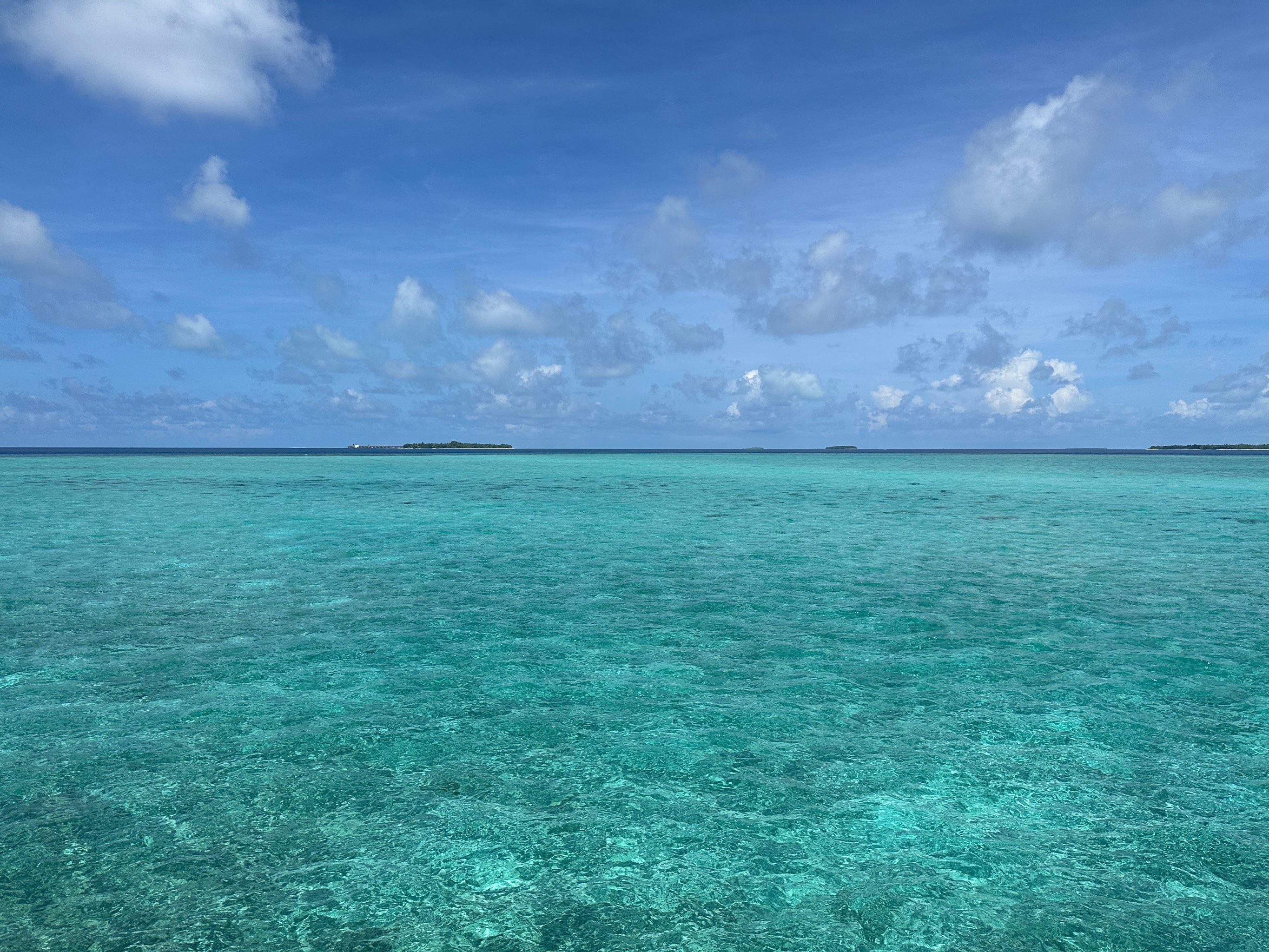 阿拉斯加湾海水图片