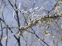 -沈阳森林动物园