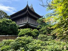 -龙华素斋(龙华路店)