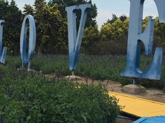 -广东花都香草世界旅游度假区