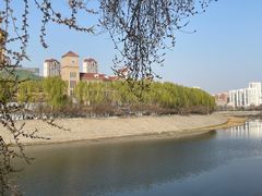 -桃花堤公园