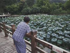 -龙头寺公园
