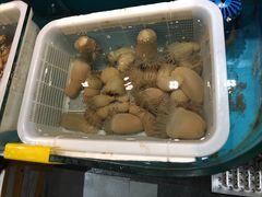 -星龙海鲜(望江东路店)