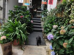 -唐咖精品咖啡(大理古城手冲店)