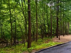 -洛阳白云山景区