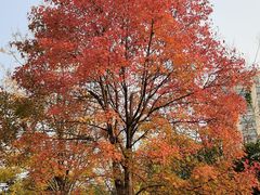 -重庆中央公园(渝北区)