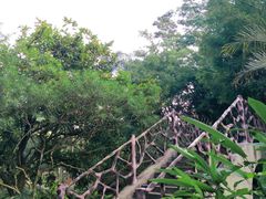 -滴水岩森林公园