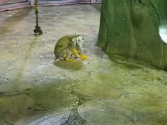 -哈尔滨极地公园