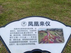 -东莞植物园