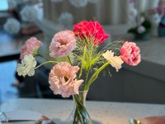 -Tomacado花厨(One ITC店)