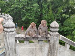 -苏州上方山国家森林公园