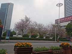 -天河体育中心