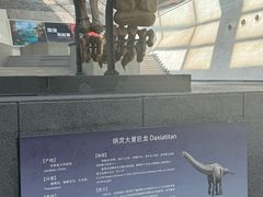 -中华赏石园