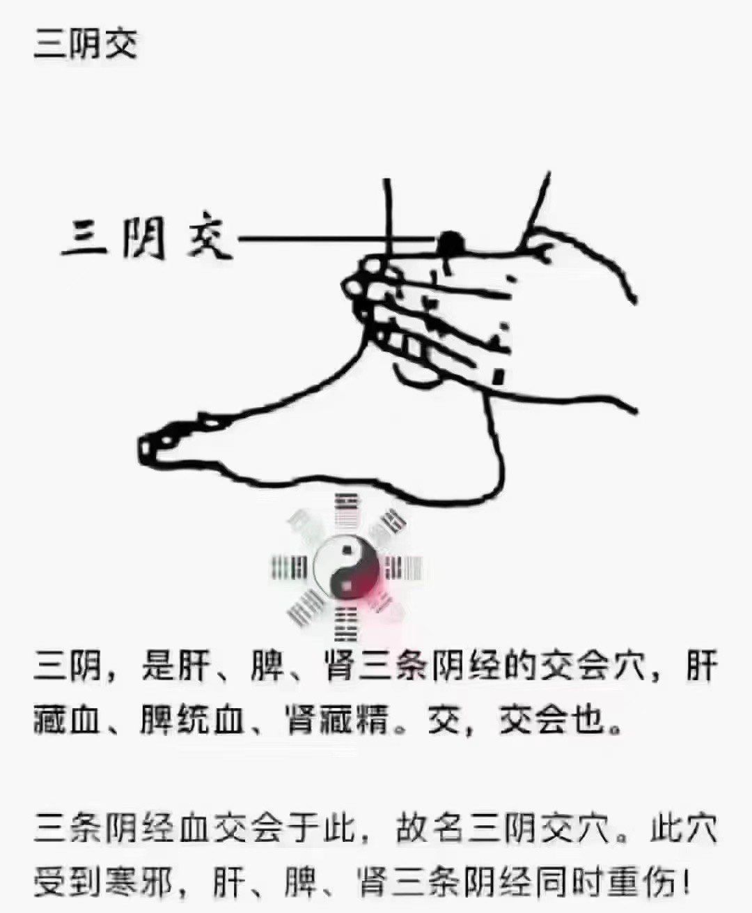 做腹腰部疏通的四大好处\\n1疏通带脉祛除腰腹部游泳圈效果快