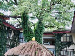-普陀山雷迪森庄园