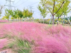 -宝岛眼镜·星创视光中心(金桥店)
