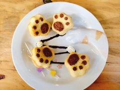 -喵屿·大理花园猫咖