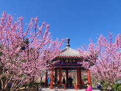 -德胜公园
