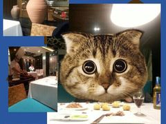 -同喜烤鸭店(光芒店)