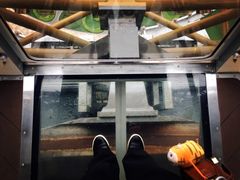 -影汇之星8字形摩天轮