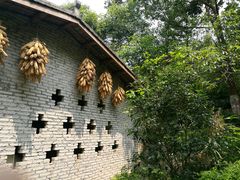 -清水湖度假村(罗浮山美食地标店)