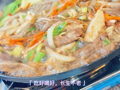 -猫头鹰炸鸡