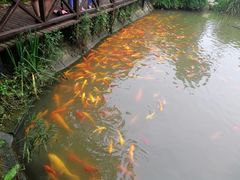 -武汉紫薇都市田园